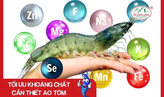 Sản phẩm thumb 6013 — Vôi Càng Long - Công Ty TNHH Một Thành Viên Vôi Càng Long Hà Nam — MST 1101769234