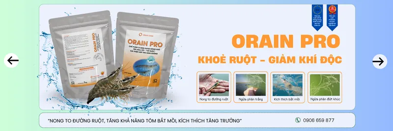 Sản phẩm khoe ruot giam khi doc 91 hinh — Hóa Chất Orain Chem - Công Ty TNHH Orain Chem — MST 1101781866