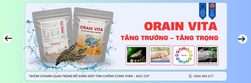Sản phẩm kich thich tang truong tang trong tom 18 hinh — Hóa Chất Orain Chem - Công Ty TNHH Orain Chem — MST 1101781866