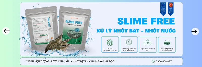 Sản phẩm xu ly nhot bat nhot nuoc 78 hinh — Hóa Chất Orain Chem - Công Ty TNHH Orain Chem — MST 1101781866