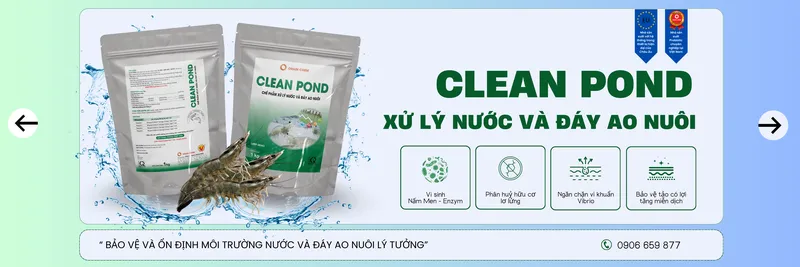 Sản phẩm xu ly nuoc va day ao nuoi 11 hinh — Hóa Chất Orain Chem - Công Ty TNHH Orain Chem — MST 1101781866