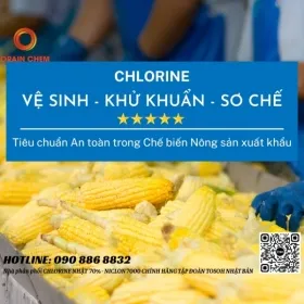 Sản phẩm cach su dung chlorine trong ve sinh khu trung nong san xuat khau 0 — Hóa Chất Orain Chem - Công Ty TNHH Orain Chem — MST 1101781866