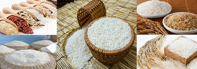 Sản phẩm 25003383200 — Công Ty TNHH Thương Mại Ngọc Phương Nam — MST 1101786705