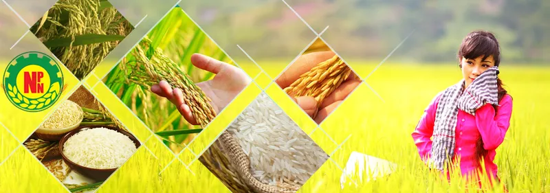 Sản phẩm 4799146054 — Công Ty TNHH Thương Mại Ngọc Phương Nam — MST 1101786705