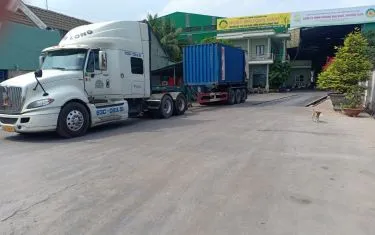 Sản phẩm 648756513186 — Công Ty TNHH Thương Mại Ngọc Phương Nam — MST 1101786705