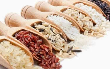 Sản phẩm 911659975172 — Công Ty TNHH Thương Mại Ngọc Phương Nam — MST 1101786705