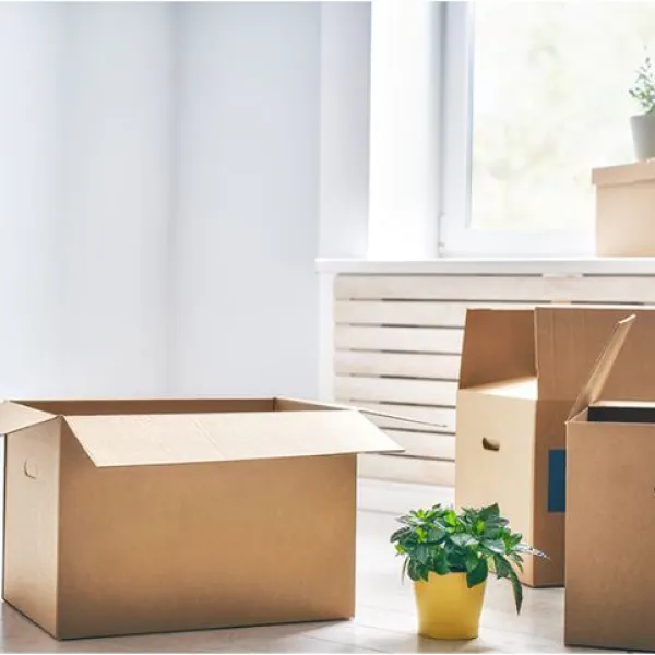 Sản phẩm sp cap 1 bao bi thung carton 3612 — Công Ty TNHH Sản Xuất Thương Mại Dịch Vụ Bao Bì Lâm Hưng — MST 1101795481