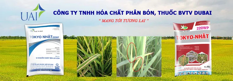 Sản phẩm 03 4138 — Công Ty TNHH Hóa Chất Phân Bón, Thuốc Bvtv Dubai — MST 1101798524