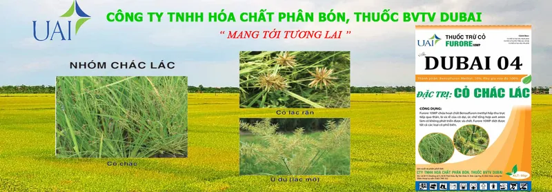 Logo Công Ty TNHH Hóa Chất Phân Bón, Thuốc Bvtv Dubai