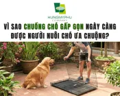 Sản phẩm chuong cho gap gon8155_175x140 — Sơn Tĩnh Điện Hưng Mỹ Phú - Công Ty TNHH Hưng Mỹ Phú — MST 1101799630