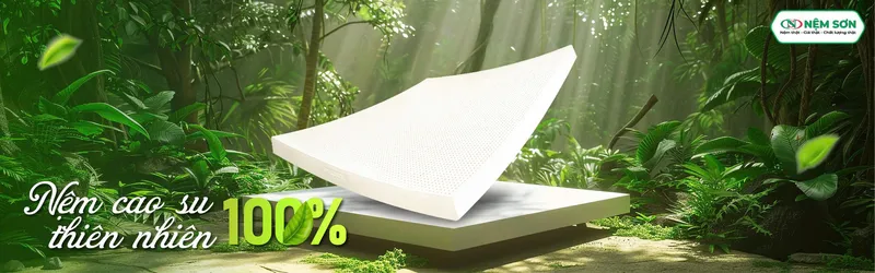 Sản phẩm 3 8844 hinh — Công Ty TNHH Nệm Sơn — MST 1101800773