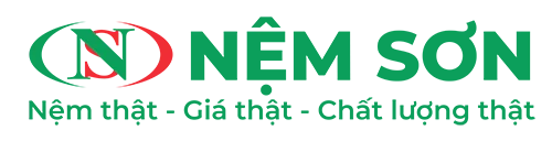 Sản phẩm nem son 8870 hinh — Công Ty TNHH Nệm Sơn — MST 1101800773