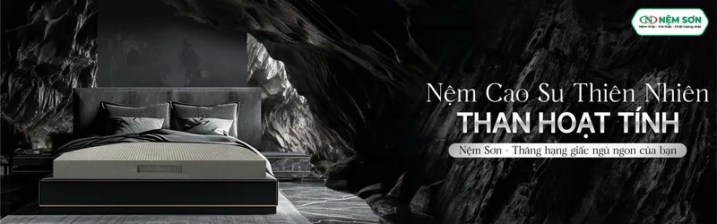 Sản phẩm than 282 hinh — Công Ty TNHH Nệm Sơn — MST 1101800773