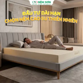 Sản phẩm dau tu dai han vi sao nen chon nem cao su thien nhien 0 — Công Ty TNHH Nệm Sơn — MST 1101800773