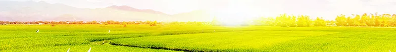Sản phẩm 5657 — Công Ty Cổ Phần Bao Bì Nhựa Thành Phát — MST 1101805355