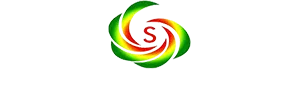 Logo Xây Dựng Long Việt Sơn - Công Ty TNHH Long Việt Sơn