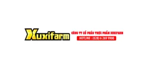 Sản phẩm Thiet ke chua co ten 20 300x150 — Công Ty TNHH Vận Tải Phan Khánh — MST 1101832334