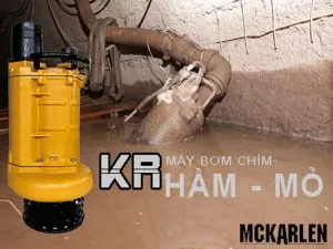 Sản phẩm 3 6 2021 300x225 — Máy Bơm DAYES - Công Ty TNHH Cơ Điện DAYES (VN) — MST 1101836113