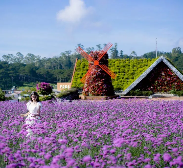 Sản phẩm 1vamcodongtourist 2 740x680 — Công Ty TNHH Lữ Hành Vàm Cỏ Đông — MST 1101844001