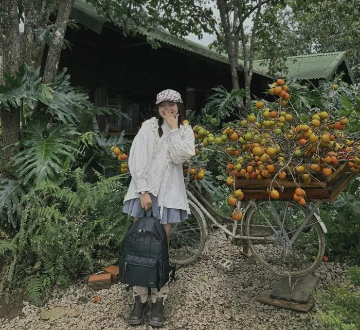 Sản phẩm 387169860_795240769070499_3214319248753762895_n 740x680 — Công Ty TNHH Lữ Hành Vàm Cỏ Đông — MST 1101844001