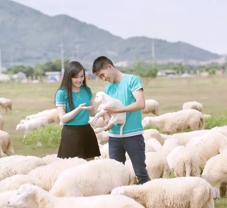 Sản phẩm hay mot chut lang man 1 740x680 — Công Ty TNHH Lữ Hành Vàm Cỏ Đông — MST 1101844001