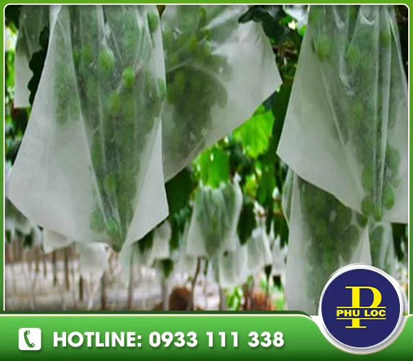 Sản phẩm 1234 — Vải Không Dệt Phú Lộc L.A - Công Ty TNHH Quốc Tế Phú Lộc L.A — MST 1101854916