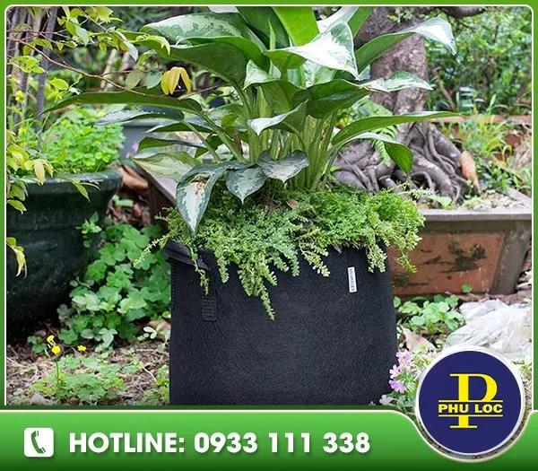Sản phẩm 5619c2_71d59dd62c11482db5dad70e166095e6mv20 — Vải Không Dệt Phú Lộc L.A - Công Ty TNHH Quốc Tế Phú Lộc L.A — MST 1101854916