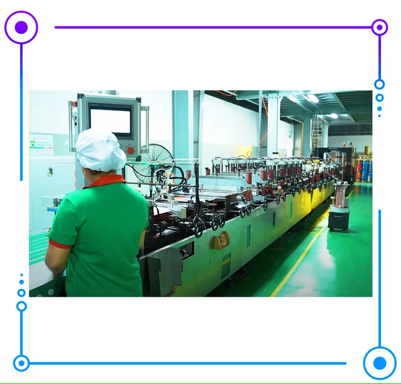 Sản phẩm 17 — Công Ty Cổ Phần Thương Mại Và Sản Xuất Bao Bì Lai Trường Sơn- Long An — MST 1101904518