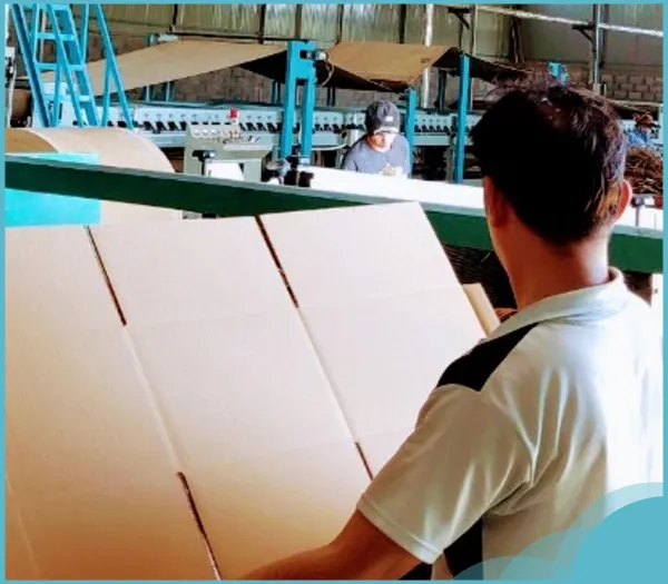 Sản phẩm cty 4 — Bao Bì Hưng Nhân Khang - Công Ty TNHH Hưng Nhân Khang — MST 1101904772