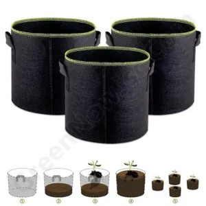 Sản phẩm tui trong cay02 300x300 — Bông Xơ Polyester Greennow - Công Ty Cổ Phần Vải Không Dệt Greennow — MST 1101912780