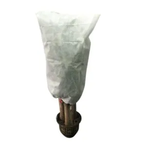 Sản phẩm z4744124951117_ff0044cf90d48b50aaeb050b459a59cd 300x300 — Bông Xơ Polyester Greennow - Công Ty Cổ Phần Vải Không Dệt Greennow — MST 1101912780