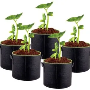 Sản phẩm z4742467590107_f6bbb249c731c8f6711cc4731a9851c2 300x300 — Bông Xơ Polyester Greennow - Công Ty Cổ Phần Vải Không Dệt Greennow — MST 1101912780