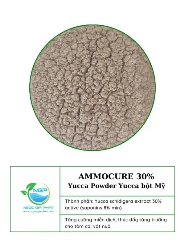 Sản phẩm ammocure 30 yucca bot my 2 600x780 — Công Ty TNHH Sản Xuất XNK Ngọc Gia Phát — MST 1101920580
