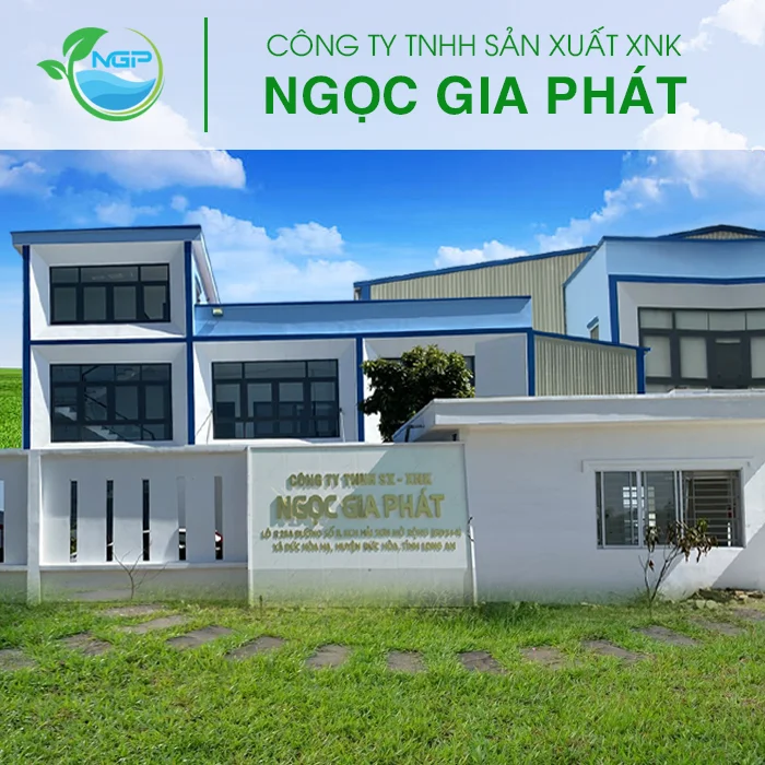 Sản phẩm Ngoc Gia Phat Company — Công Ty TNHH Sản Xuất XNK Ngọc Gia Phát — MST 1101920580