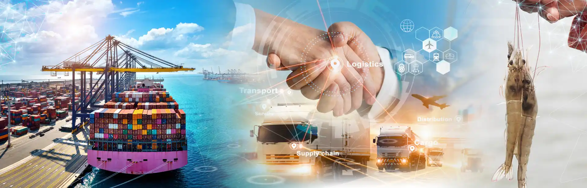 Sản phẩm nhap khau phan phoi nguyen lieu — Công Ty TNHH Sản Xuất XNK Ngọc Gia Phát — MST 1101920580