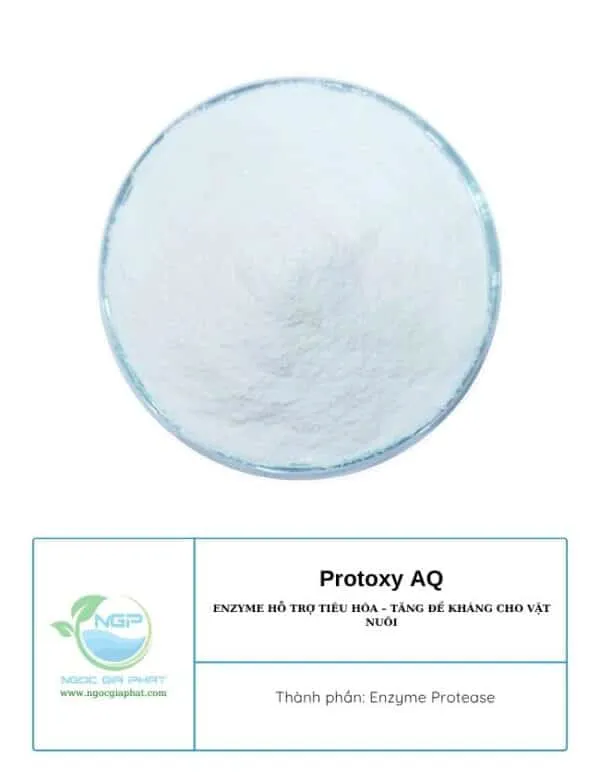 Sản phẩm Protoxy AQ Enzyme ho tro tieu hoa 2 600x780 — Công Ty TNHH Sản Xuất XNK Ngọc Gia Phát — MST 1101920580