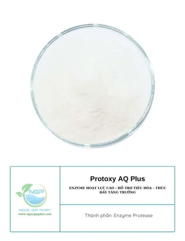 Sản phẩm Protoxy AQ Plus Enzyme hoat luc cao ho tro tieu hoa 2 600x780 — Công Ty TNHH Sản Xuất XNK Ngọc Gia Phát — MST 1101920580