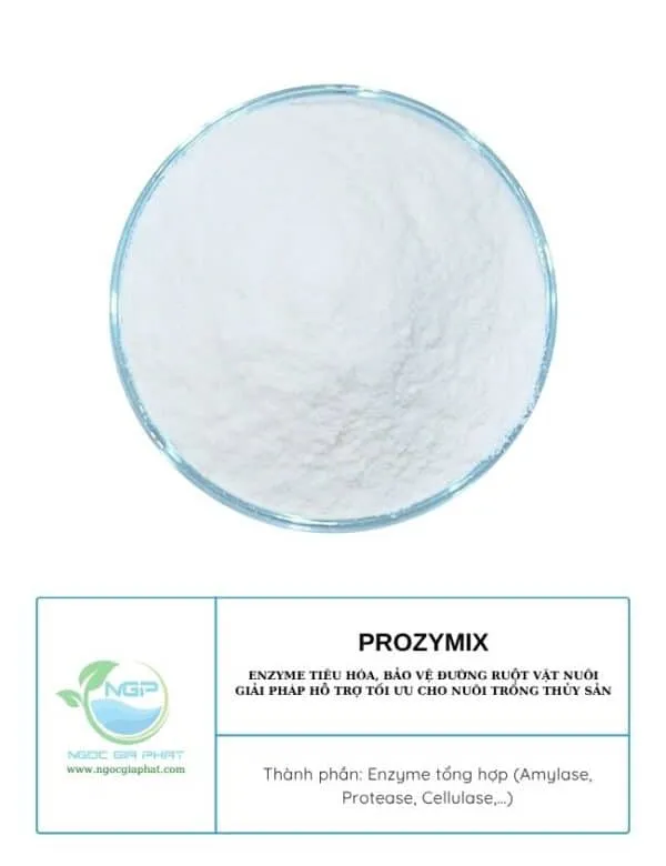Sản phẩm Prozymix Enzyme tieu hoa bao ve duong ruot vat nuoi 2 600x780 — Công Ty TNHH Sản Xuất XNK Ngọc Gia Phát — MST 1101920580