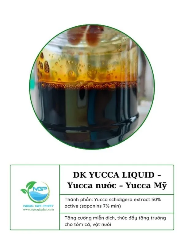 Sản phẩm YUCCA LIQUID Yucca nuoc Yucca My 4 600x780 — Công Ty TNHH Sản Xuất XNK Ngọc Gia Phát — MST 1101920580