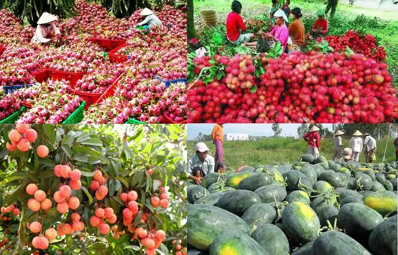 Sản phẩm 2 1638975811183162583301 — Công Ty Cổ Phần Kho Lạnh Kỷ Nguyên Mới — MST 1101956749