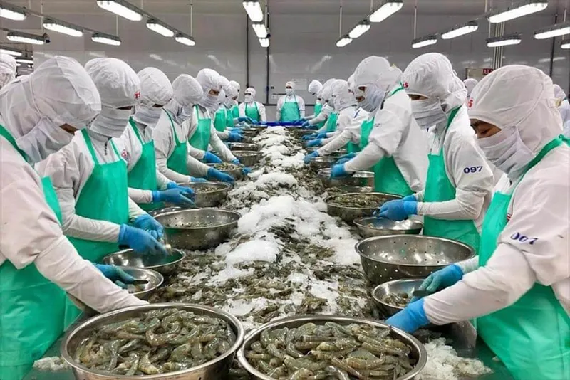 Sản phẩm 2025_12_11_03_15_591_3249b — Công Ty Cổ Phần Kho Lạnh Kỷ Nguyên Mới — MST 1101956749