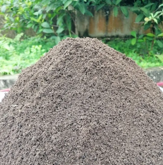 Sản phẩm 540x405 1619196490 single_product1 tq003 — Giống Heo Rừng Phương Nam - Công Ty TNHH Nông Trại Xanh Phương Nam — MST 1101959154