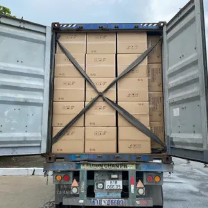 Sản phẩm odm oem vai felt thanh pham 300x300 — Vải Không Dệt Long An Phú - Công Ty Cổ Phần Long An Phú — MST 1101971151