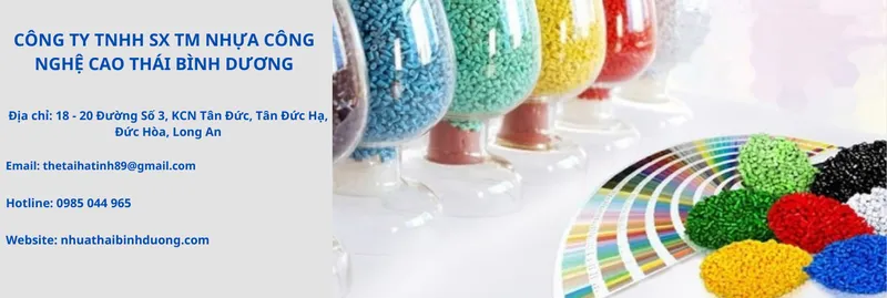 Văn phòng Công Ty TNHH Sản Xuất Thương Mại Nhựa Công Nghệ Cao Thái Bình Dương #1 — MST 1101983446