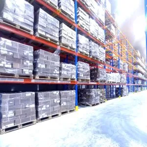 Sản phẩm frozen2 300x300 — Công Ty TNHH Đất Mới Việt Nhật Long An — MST 1102005249