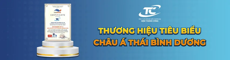 Sản phẩm THUONG HIEU TIEU BIEU NEM THANH CONG 1 — Công Ty Cổ Phần Sản Xuất Và Thương Mại Nệm Thành Công — MST 1102015078