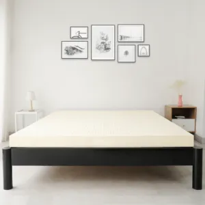 Sản phẩm TRANG 300x300 — Công Ty Cổ Phần Sản Xuất Và Thương Mại Nệm Thành Công — MST 1102015078