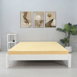Sản phẩm VANG 300x300 — Công Ty Cổ Phần Sản Xuất Và Thương Mại Nệm Thành Công — MST 1102015078