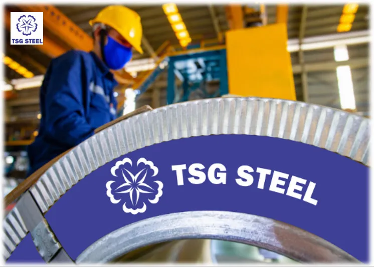 Sản phẩm b5 1 6561 — Công Ty Cổ Phần Thép Tây Sài Gòn — MST 1102016297