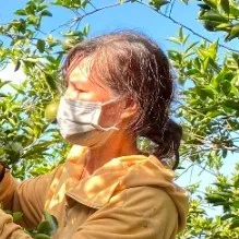 Sản phẩm co hai — Công Ty Cổ Phần Daiwa Plastic — MST 1102025277